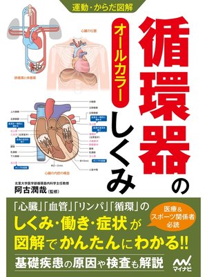 cover image of 運動・からだ図解 循環器のしくみ